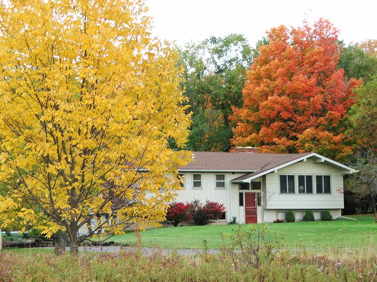 Peebles Family The Peebles of New York